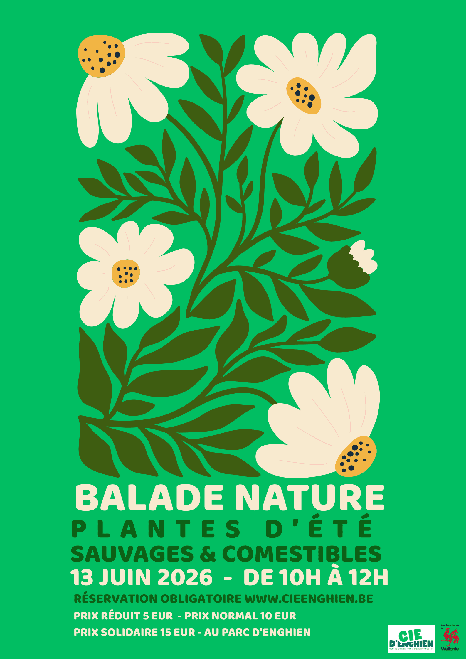 Plantes du printemps (2)