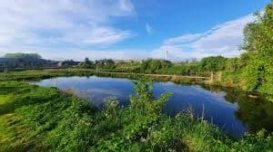 WhatsApp Image 2026-03-09 at 14.29.35